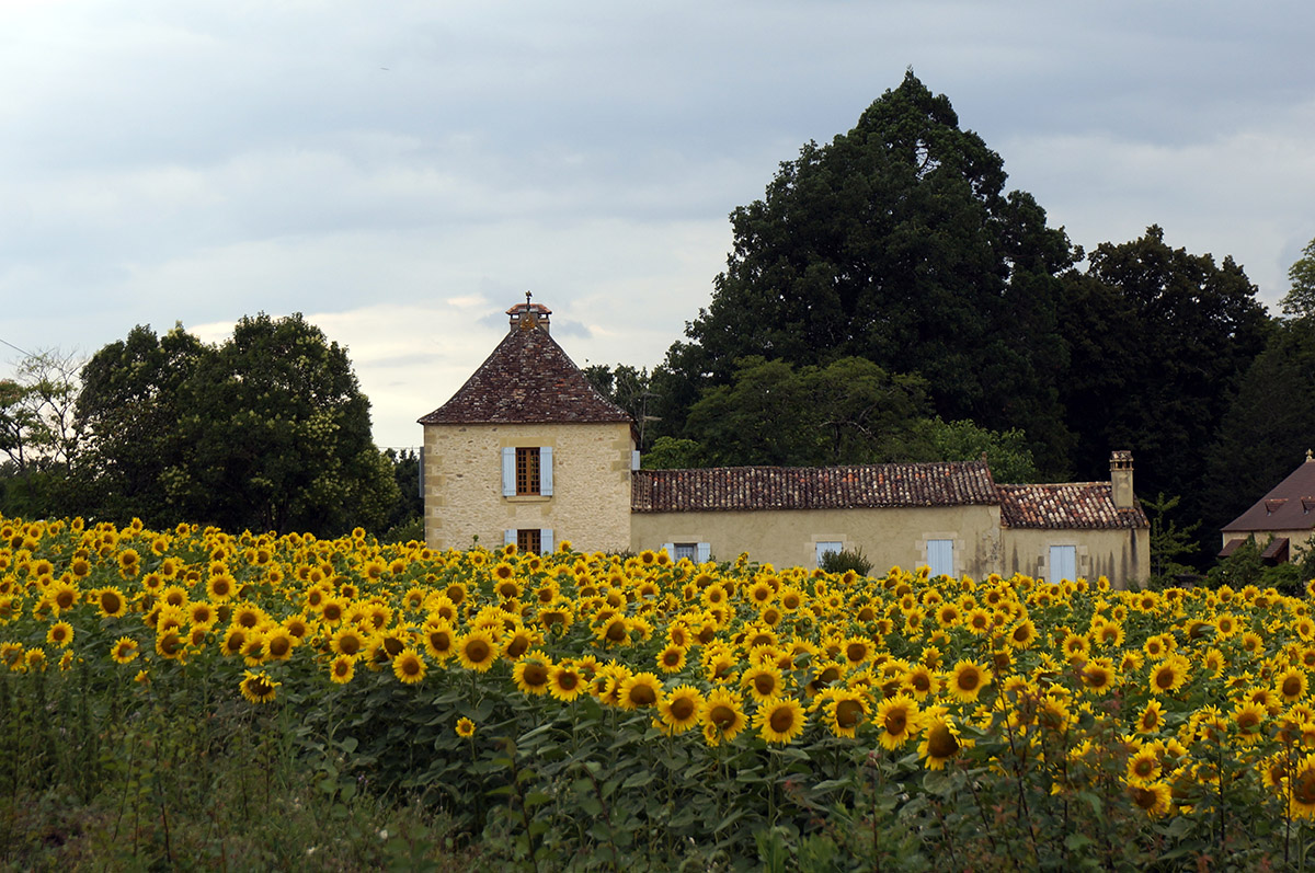 Dordogne, Juli 2014