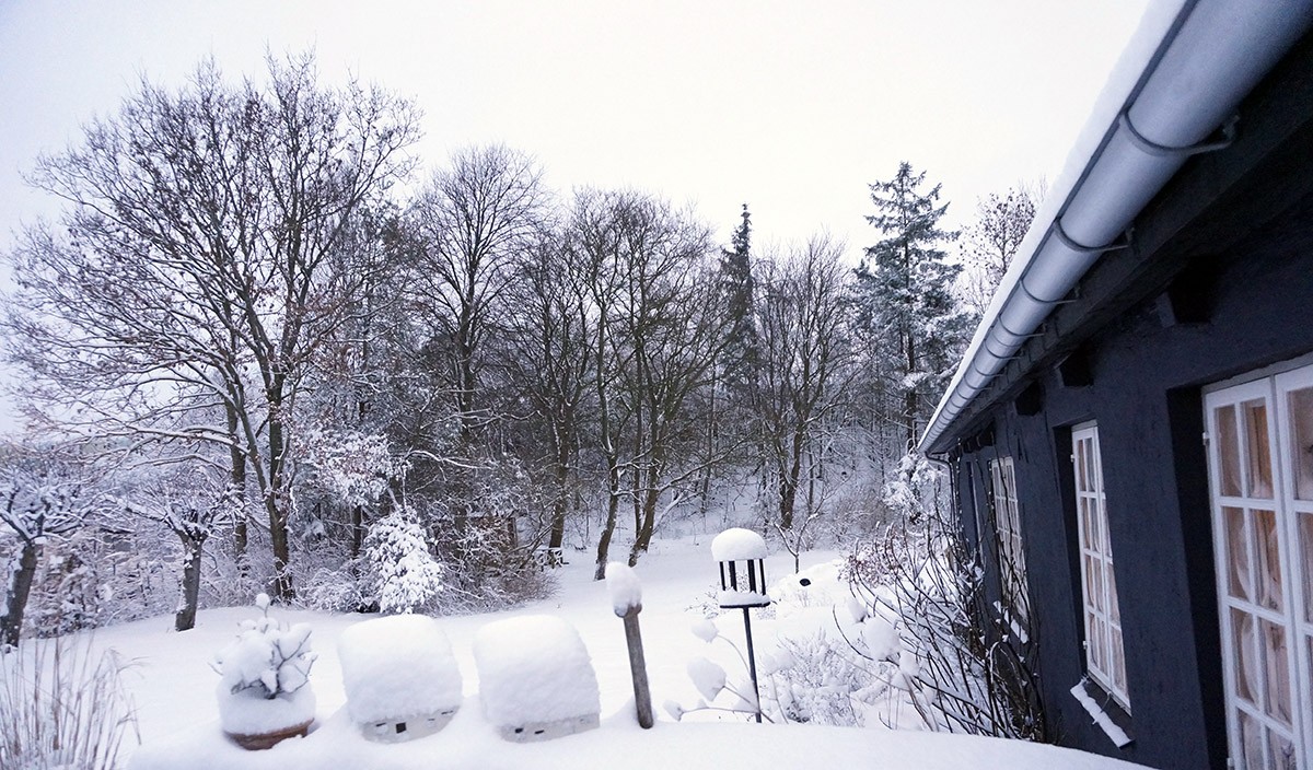 Sne i Aalborg i januar