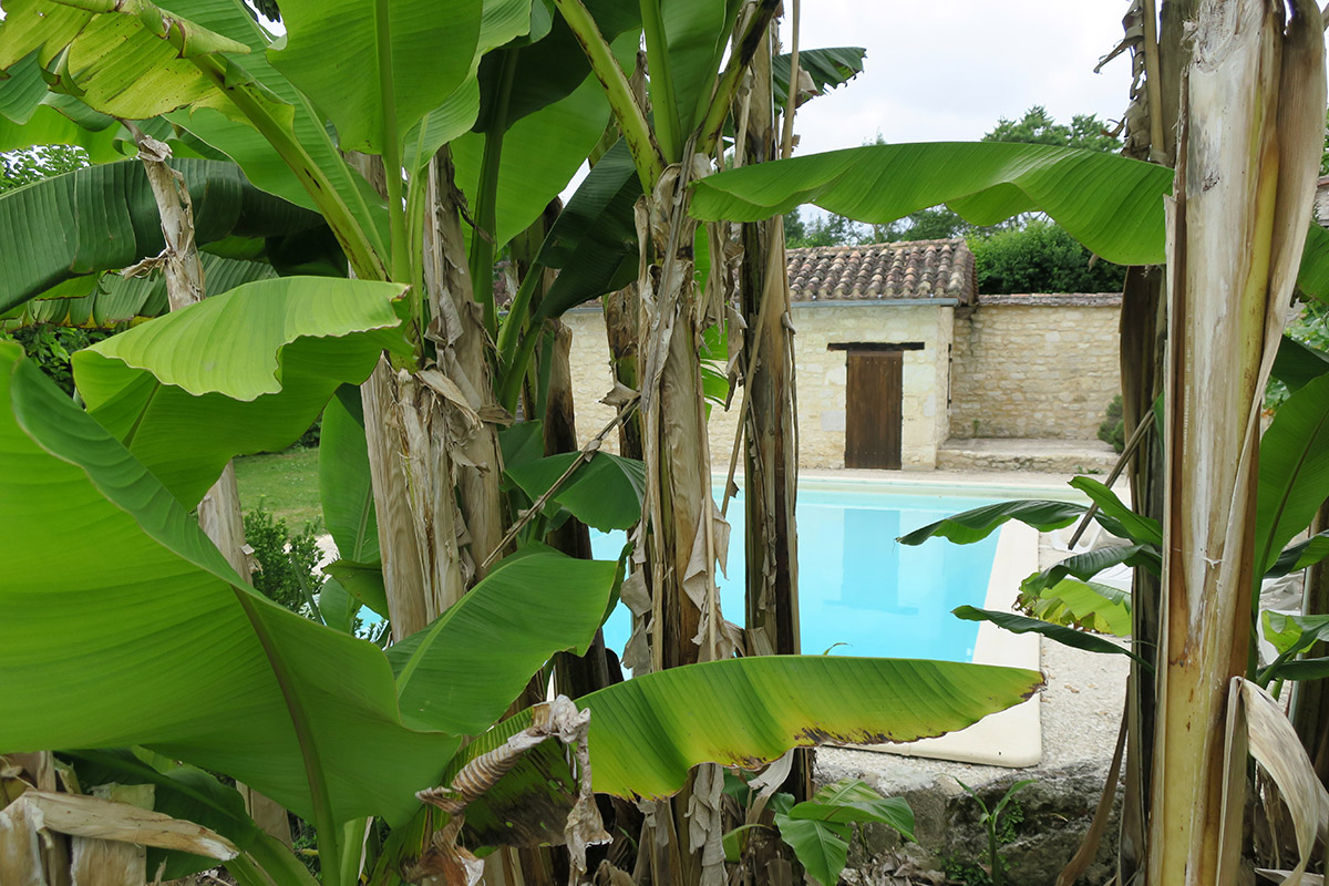 Det lille hus i Dordogne - Så er tre uger ved at finde deres ende