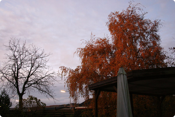 Morgengave Morgengave