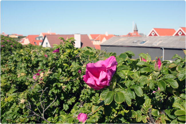Løkken