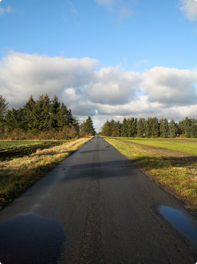 Højt til himlen