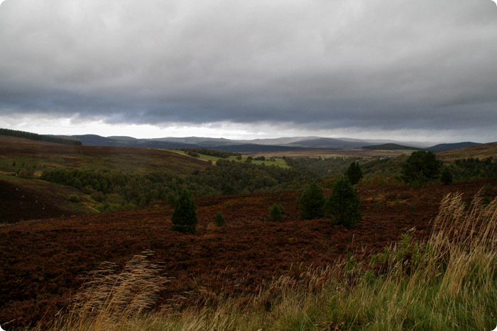 The Highlands