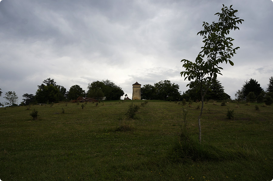 Pigeonaire, Dordogne, Sommeren 2014