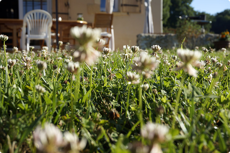 Dordogne, Sommeren 2014