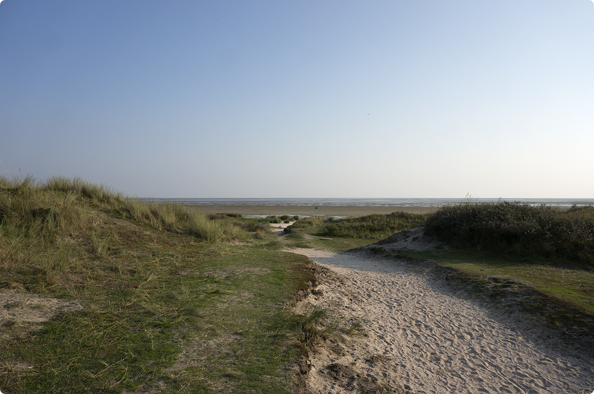 Fanø, september 2014