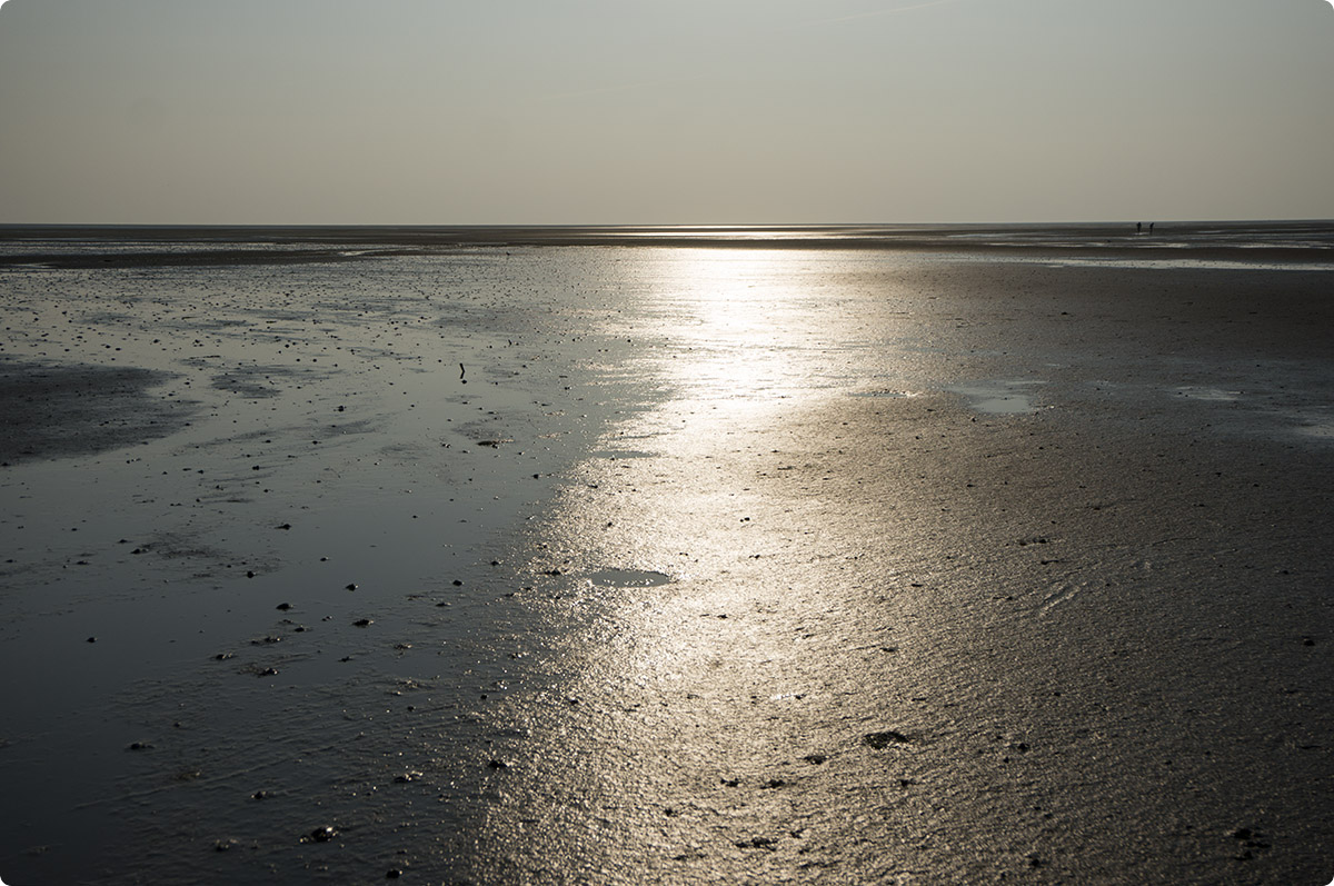 Vadehavet, Fanø, september 2014