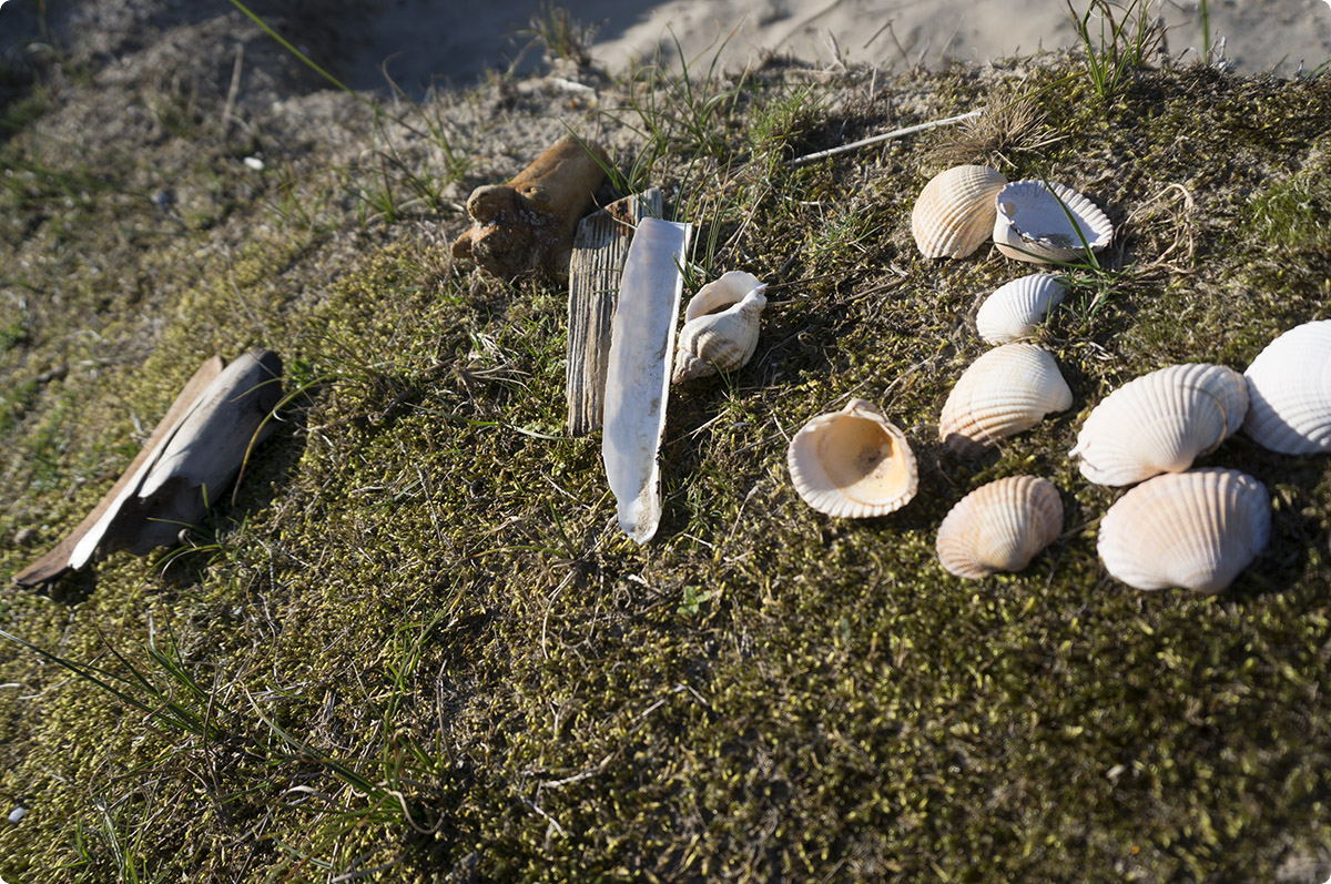 Fanø, september 2014