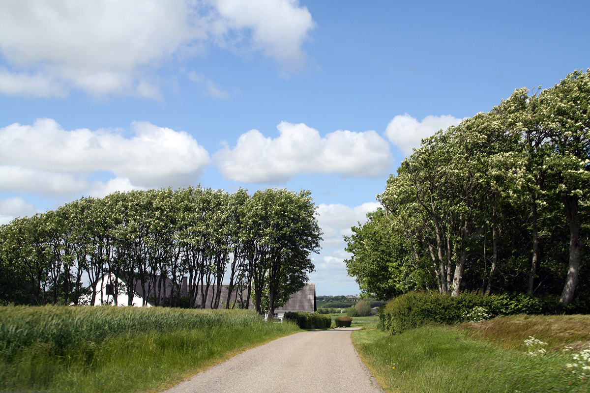 Søndagstur på Mors