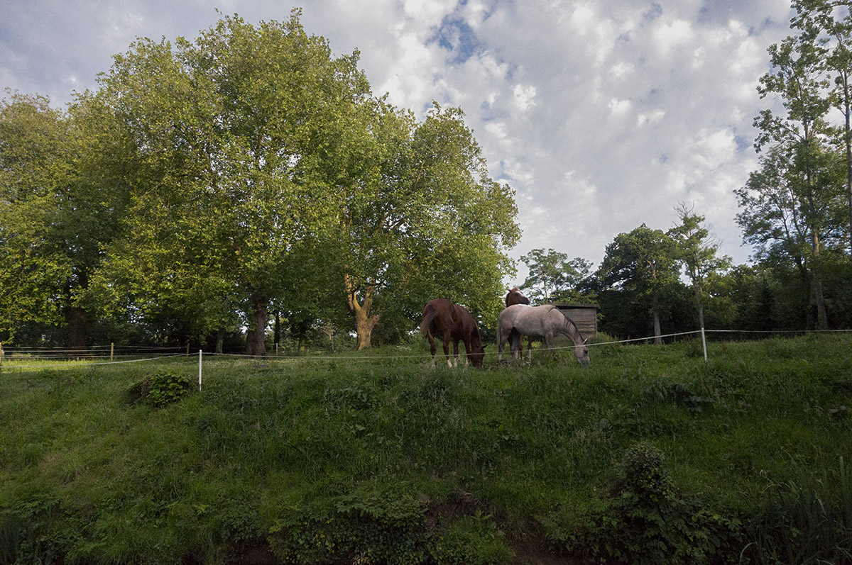 Le Chateau, Auxais