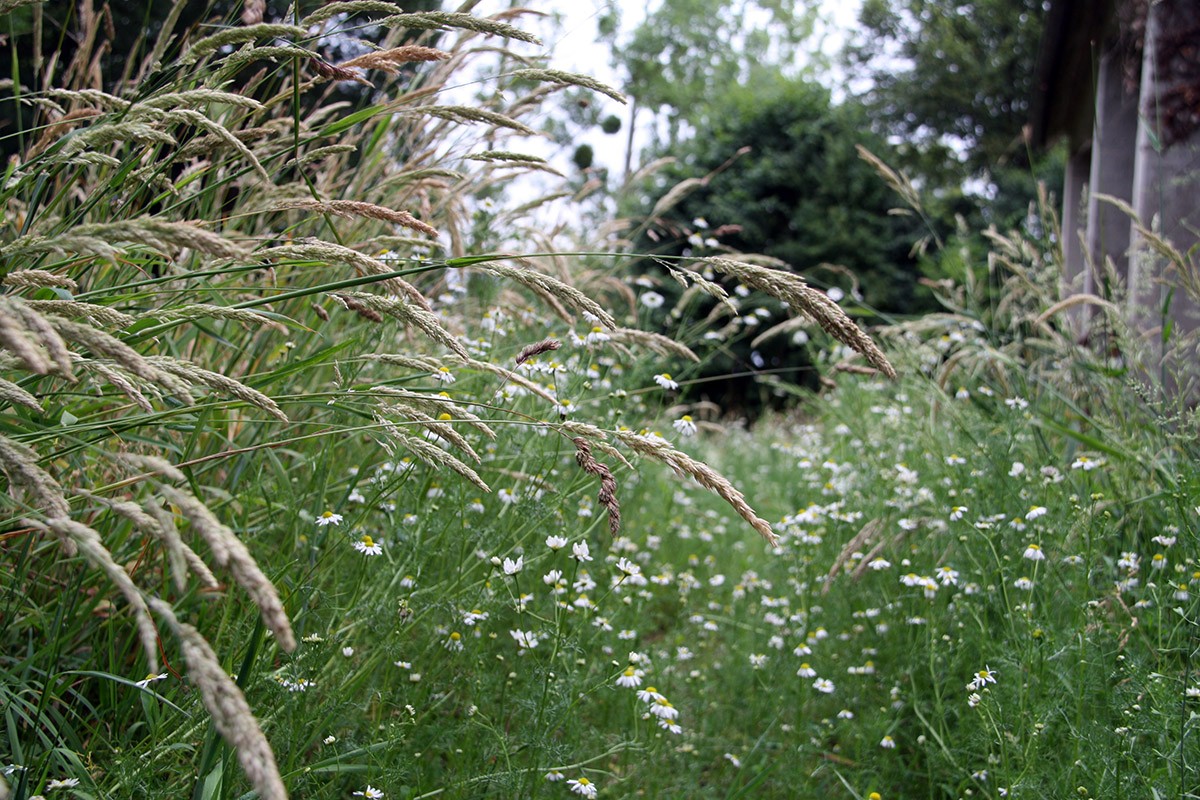 Det er måske lidt tidligt at længes efter Dordogne