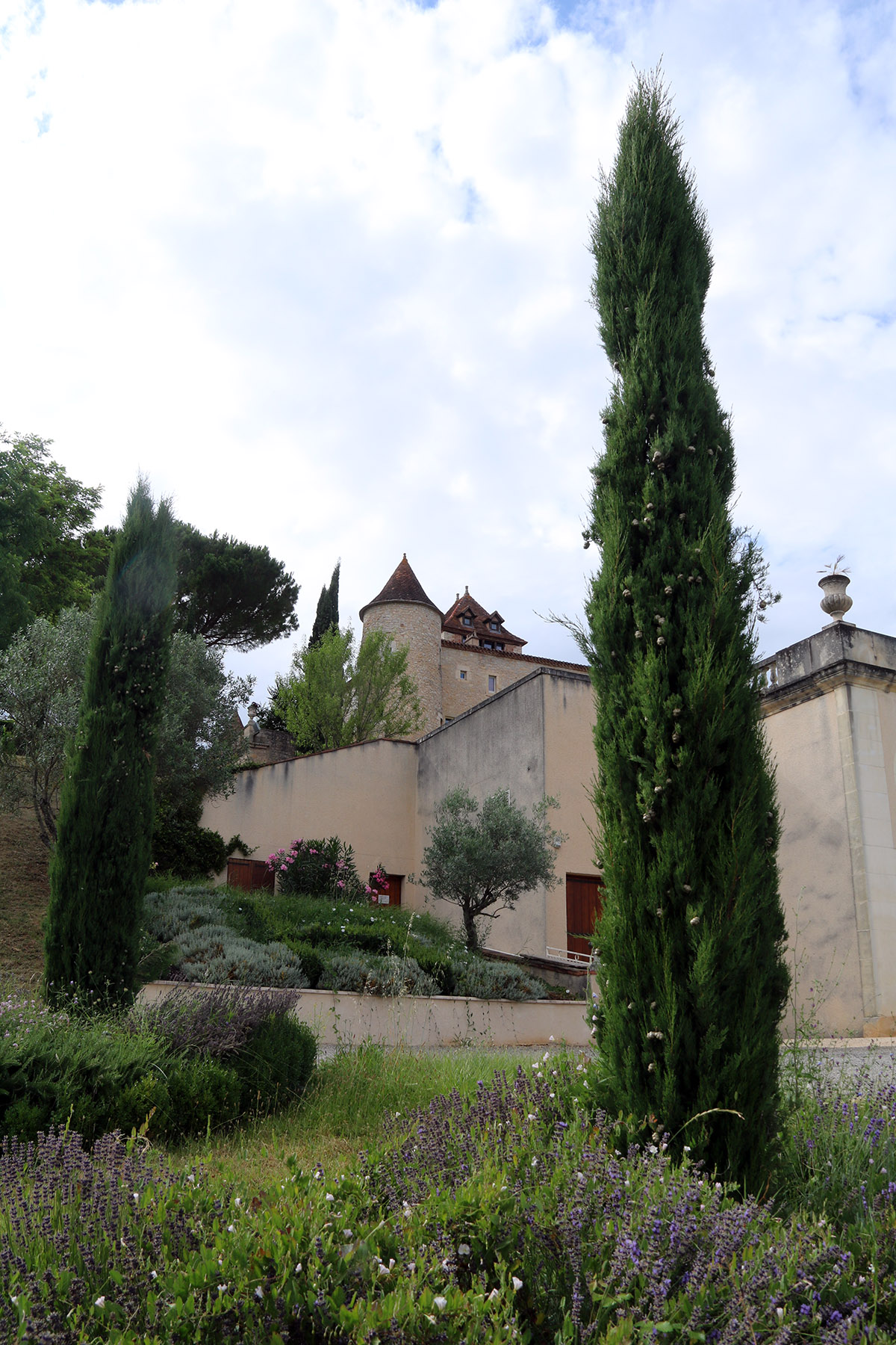Chateau de Cayx