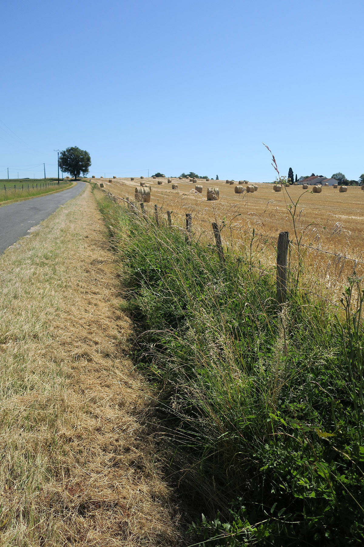 Landevej i Dordogne