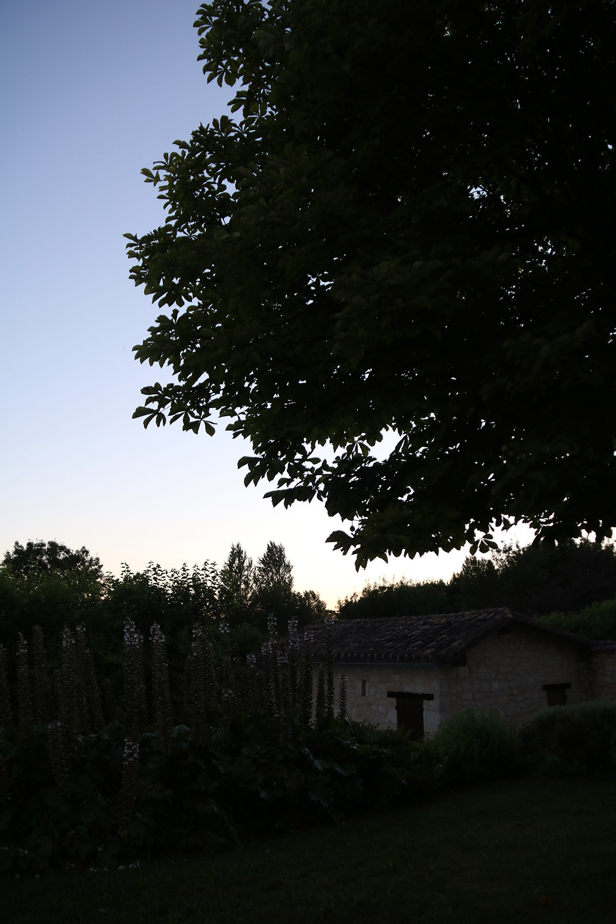 Dordogne med tusmørkelyd