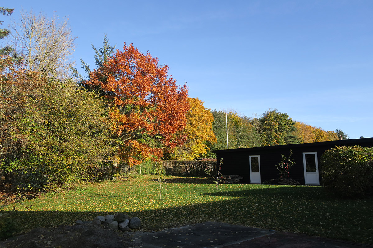 Vi har det mest vidunderlige efterår - Haveliv på Tjørnevang - ultimo oktober