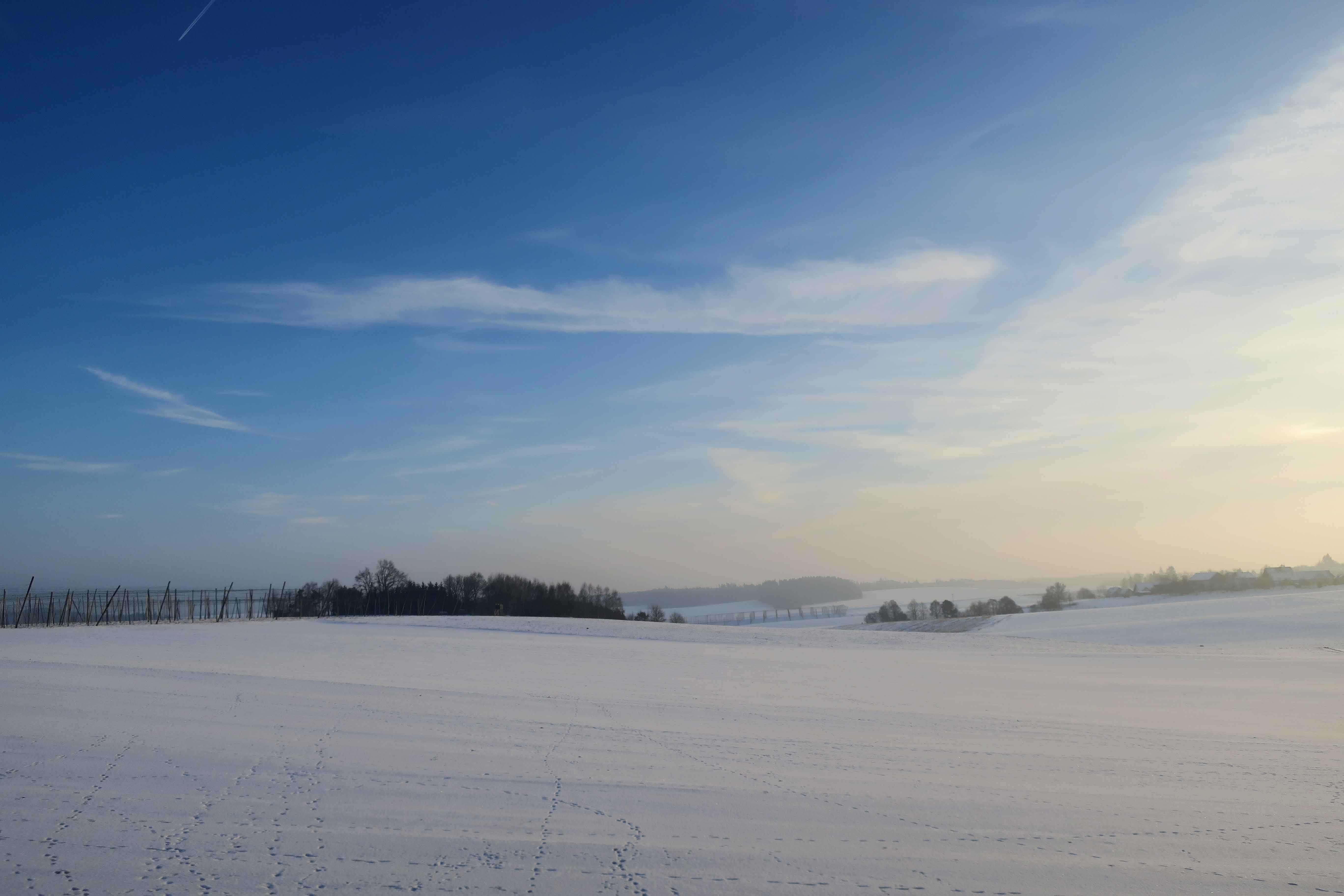 Fredagslisten - nu med sne og frost. Jeg elsker det!