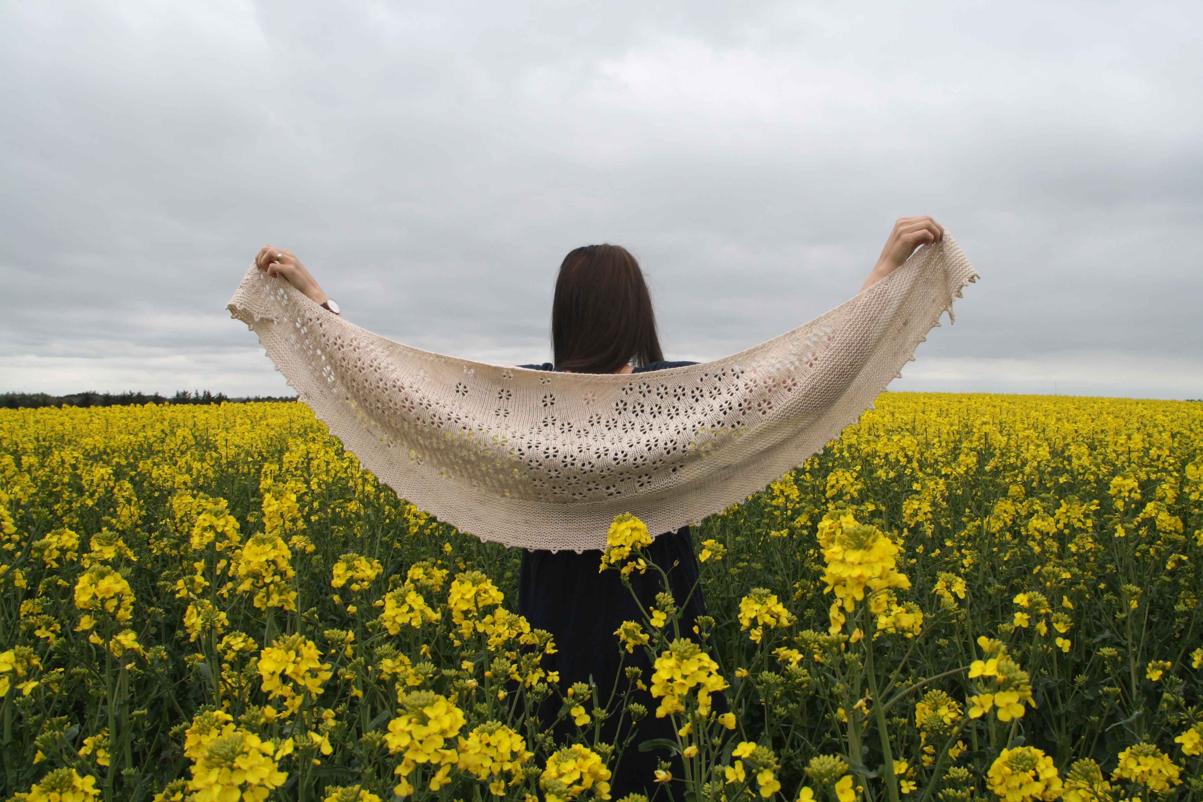 Mere end en uge komprimeret til lidt ord og et par fotos