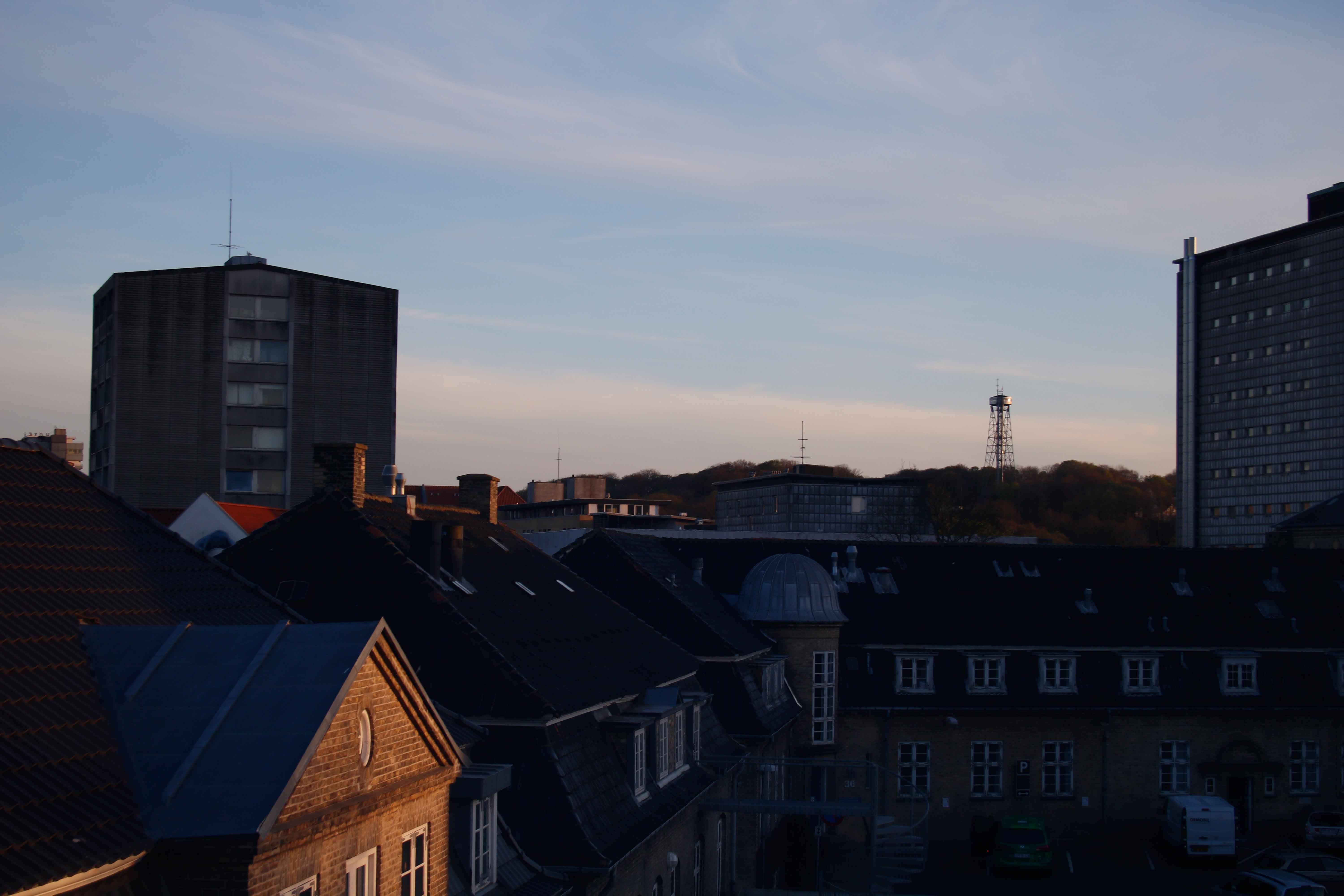 I går var jeg ude at køre med Oline ved rattet. Det sker meget sjældent. Jeg tror, at Oline er bange for, om jeg synes, at hun kører godt nok. 