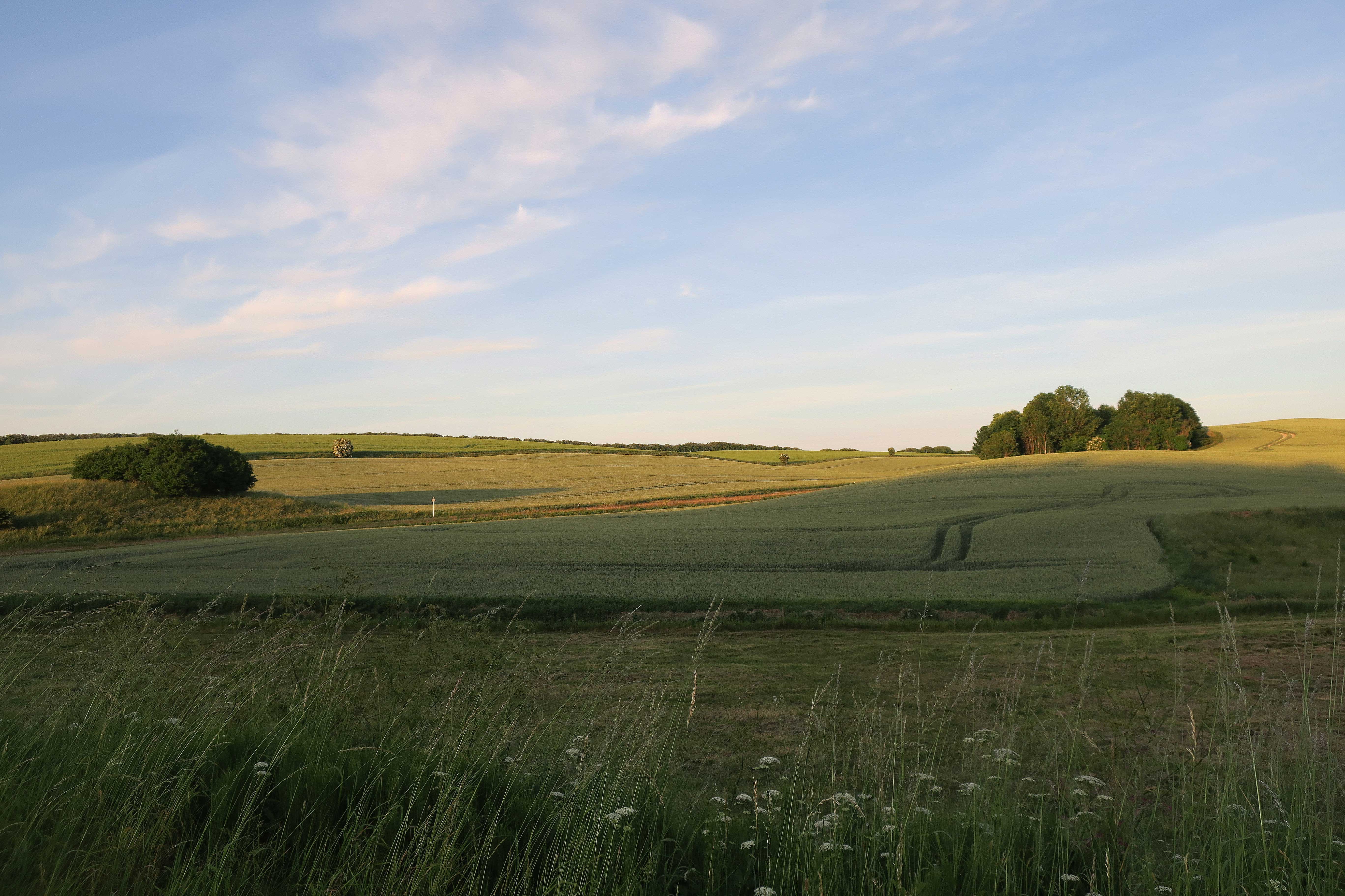 træt og varmesløv